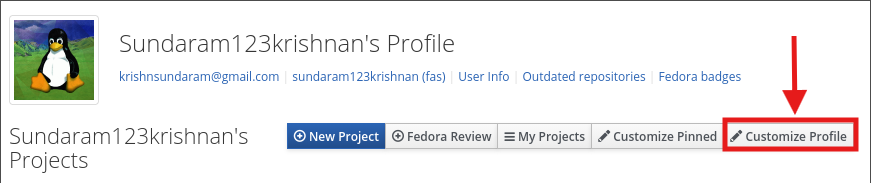 Customize Profile button on the profile page